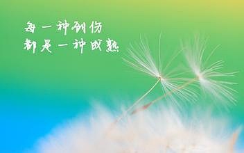 软件开发 第327页