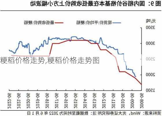 信息技术 第315页