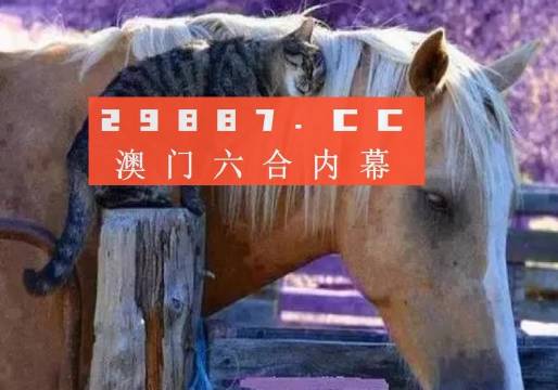 信息技术 第331页