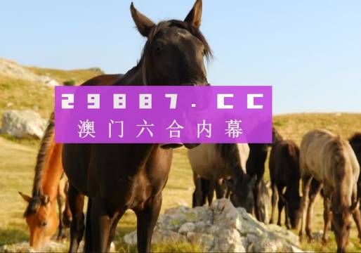 信息技术 第316页