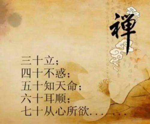 二十不惑最新下载的深度探讨，观点分析与阐述