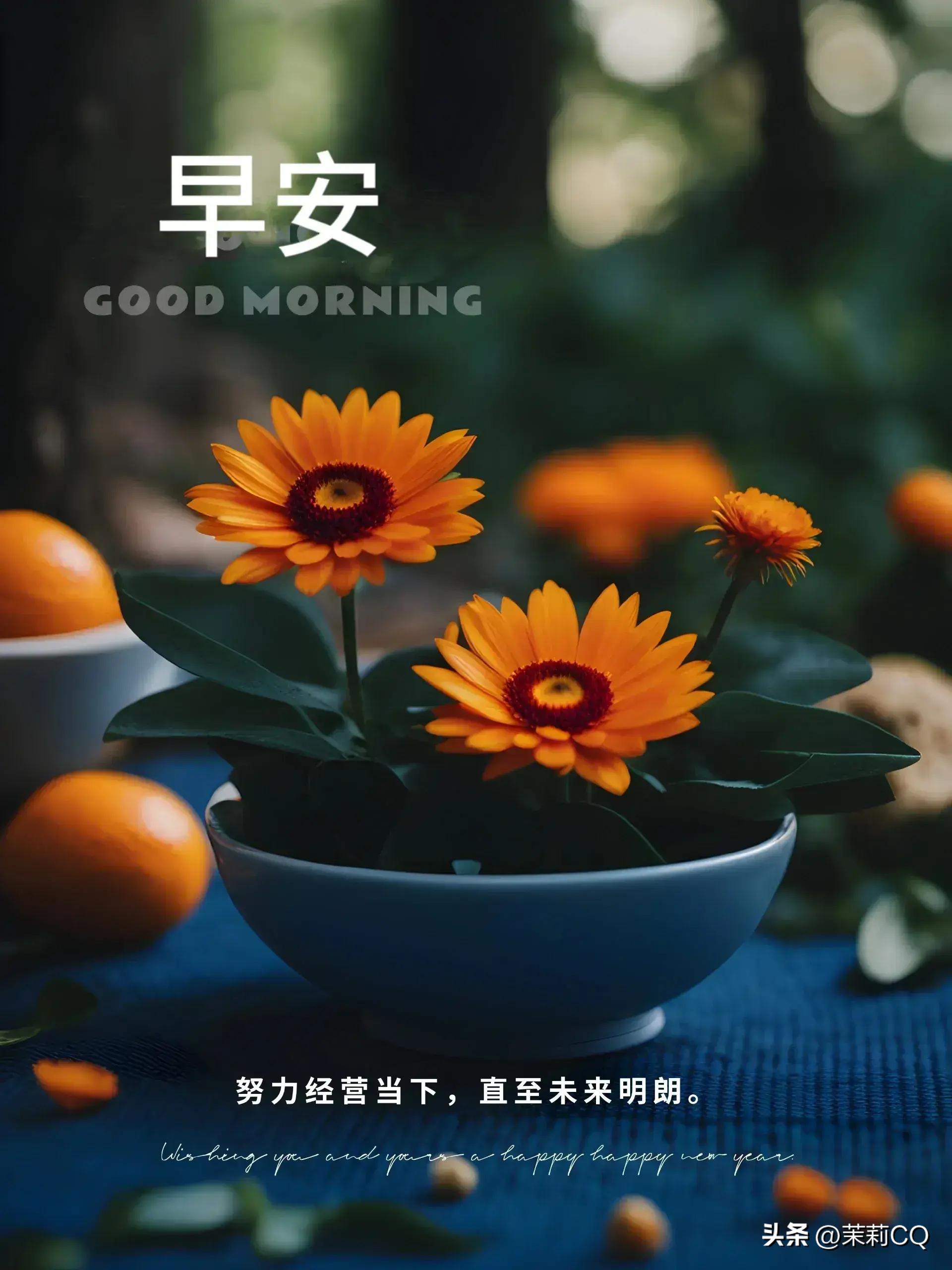 2024年天天彩资料免费大全,决策支持方案_计算机版53.299