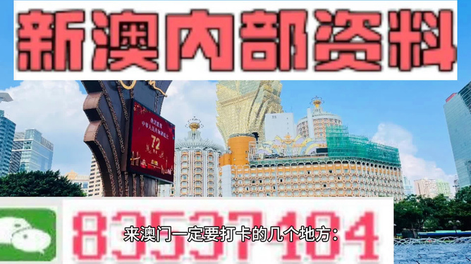 2024年新澳门正版资料,实地观察解释定义_轻量版89.829