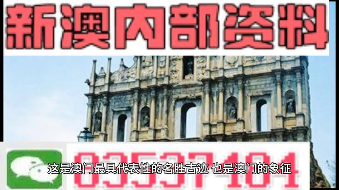 2024新澳门精准免费大全,全面性解释说明_职业版62.563