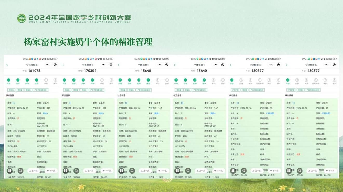 全年资料免费大全,执行机制评估_数字版93.478