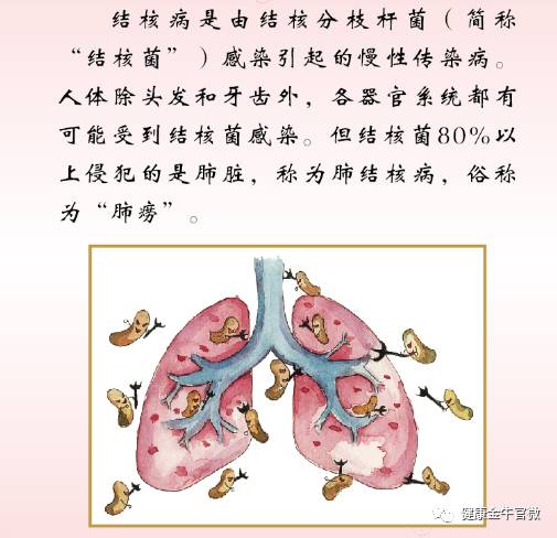 肺结核吧最新动态与小巷深处的特色小店探秘