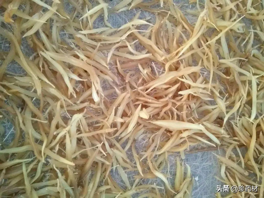 基础电信业务 第192页