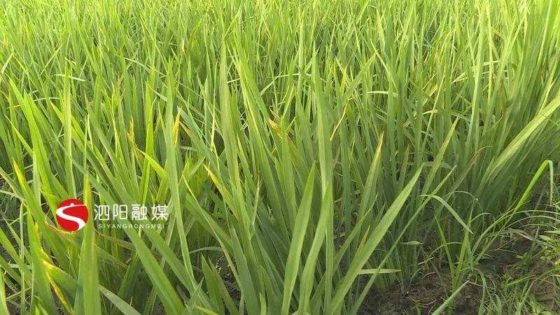 图书 第168页