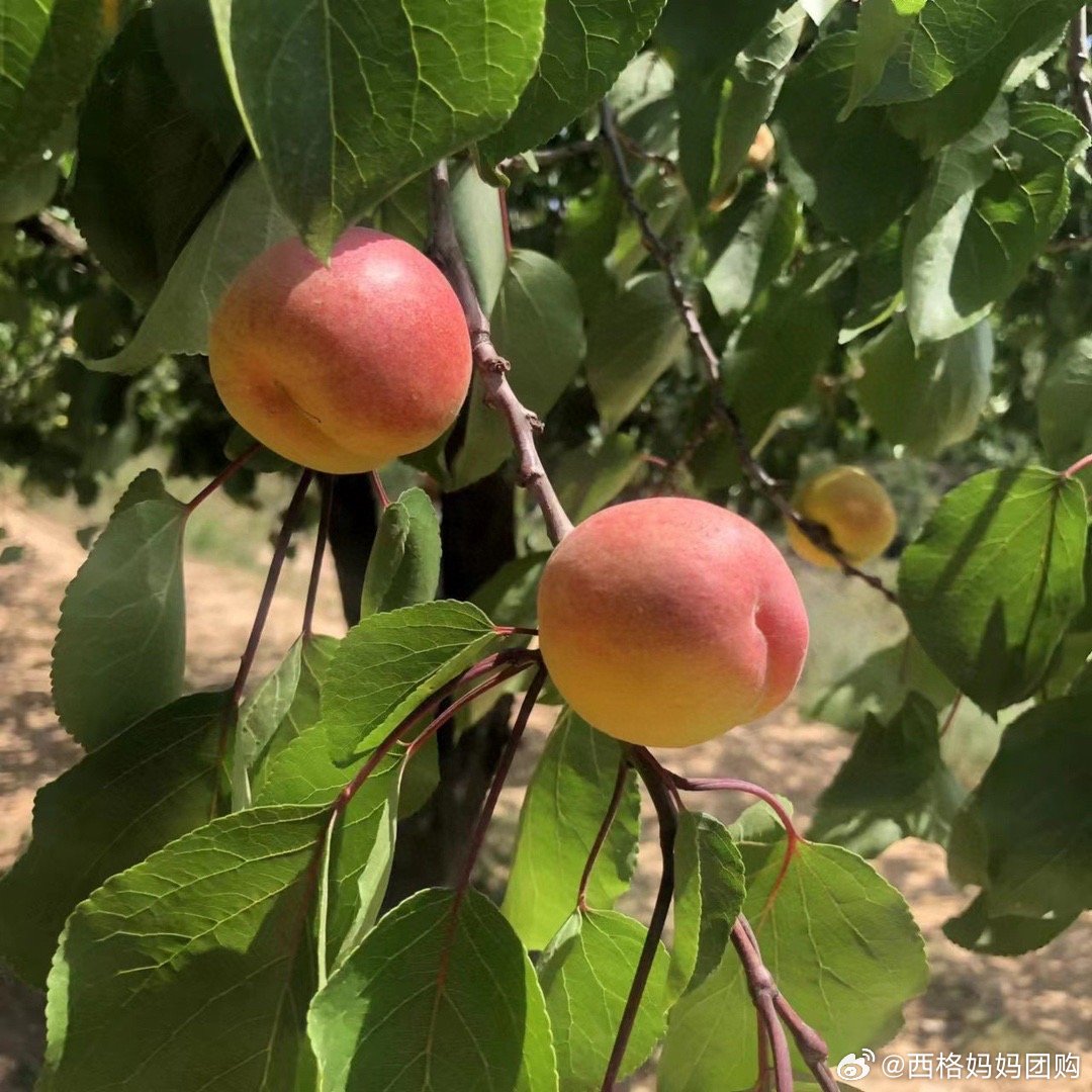 基础电信业务 第154页
