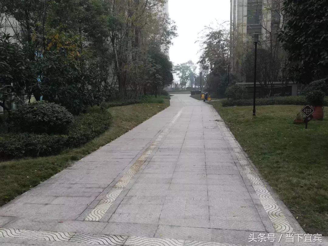 信息技术 第50页