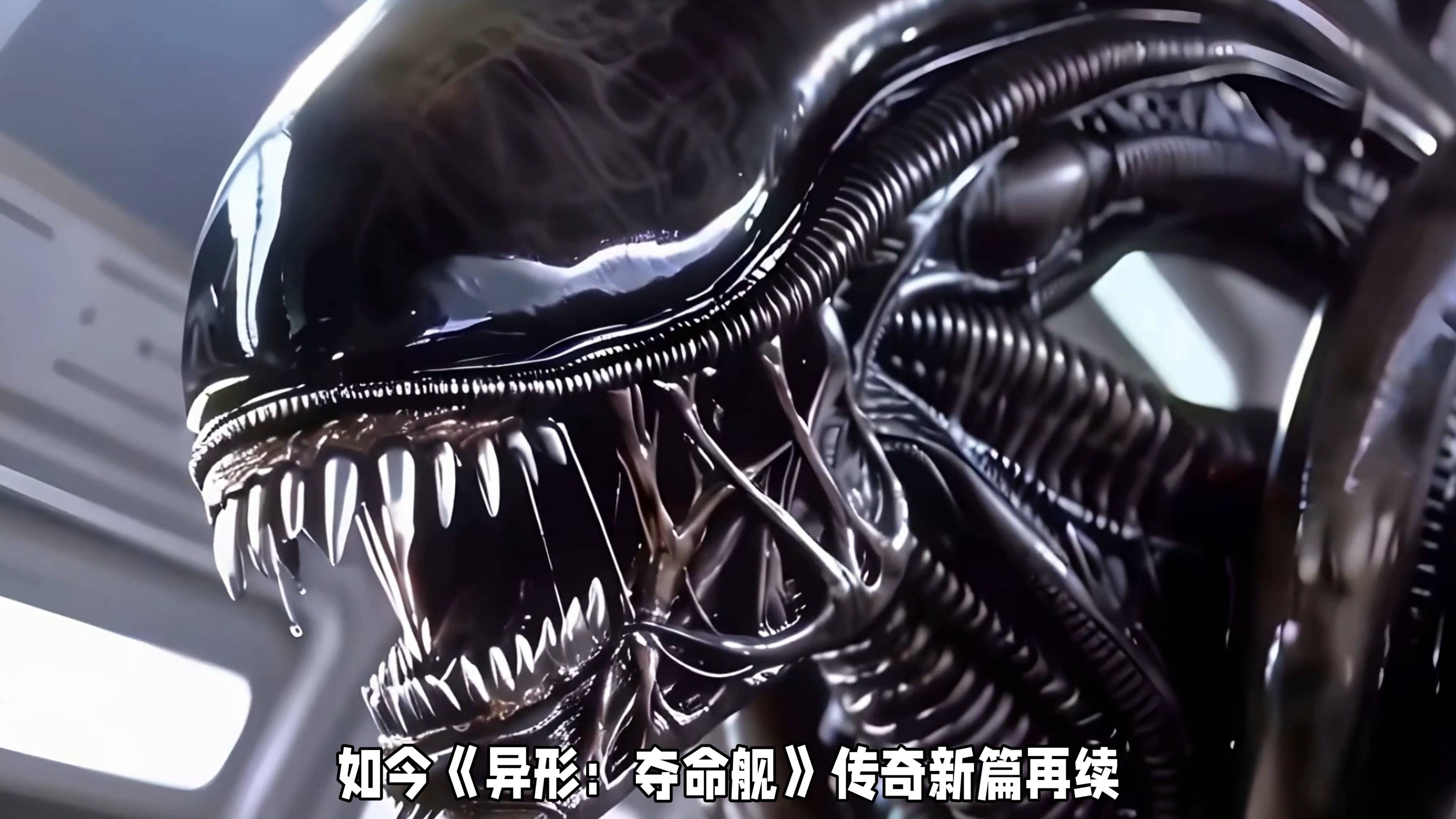 图书 第17页